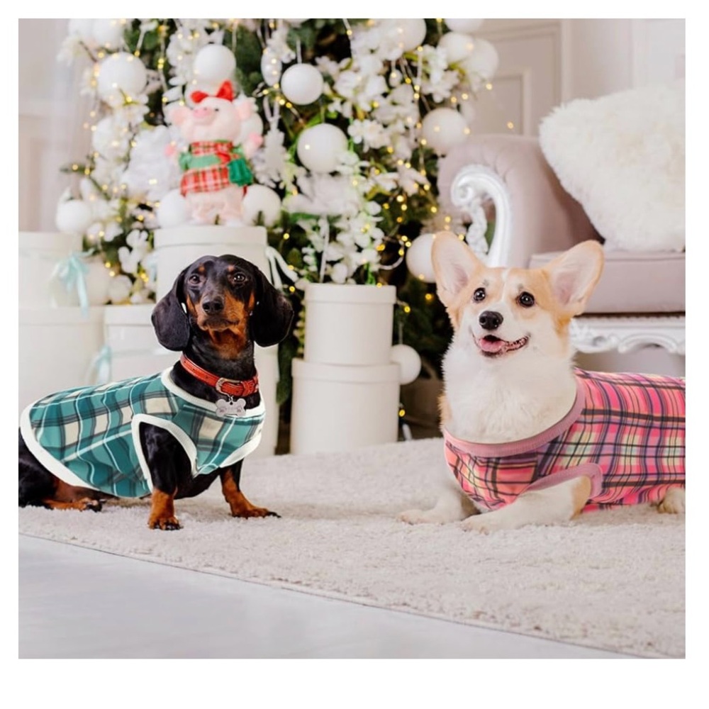 NWT 🐶 lot of two 🐾 Plaid Dog Jacket - Pink and Yellow 🐶🐾🦴